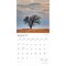 Colorado Wild & Scenic | 2026 12 x 24 Inch (Hanging) Monthly Square Wall Calendar | Plastic-Free